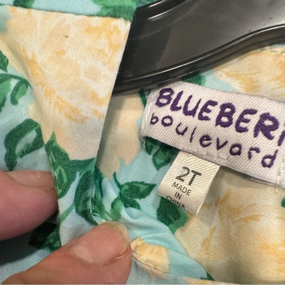 Blueberi Boulevard LOT OF 2 Girls Floral Dresses NWT Size 2T MSRP $96 - Picture 3 of 16